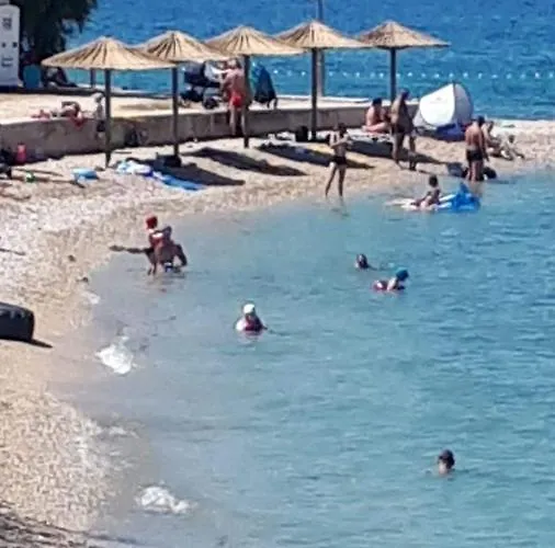 Lepur * بيبينيا