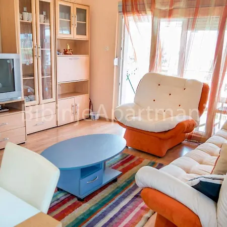 Lepur Apartament *