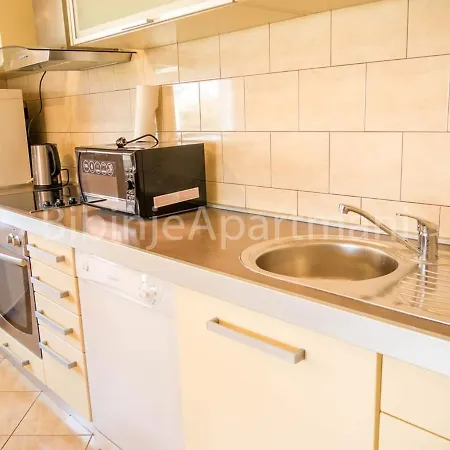 Apartment Lepur Bibinje