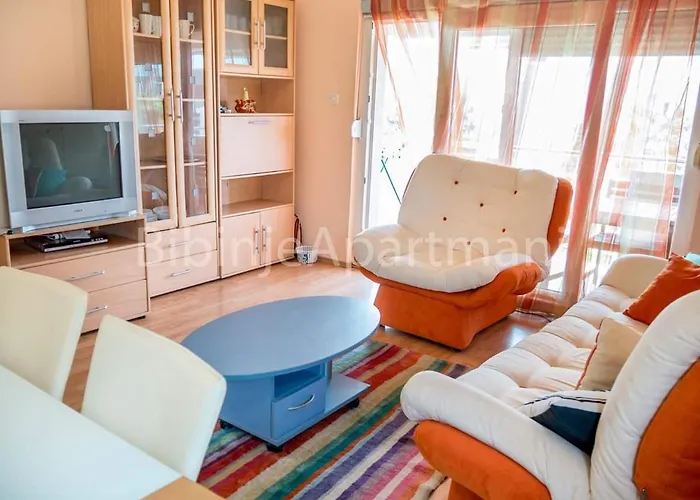 Lepur Apartament *